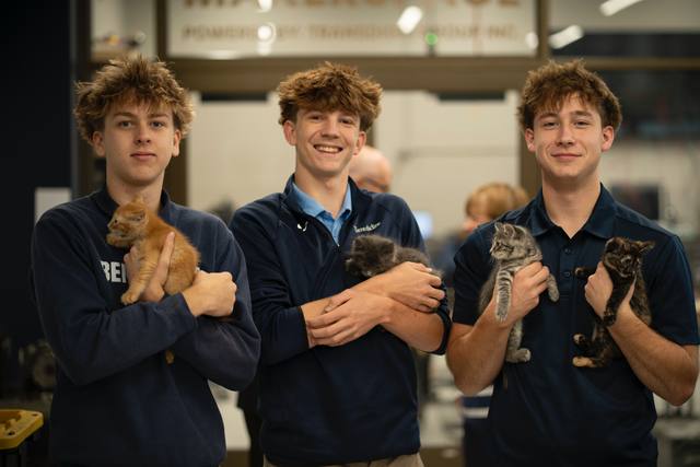 The @bengalpaw12 club has had an exciting set of back to back meetings. Last week, Ginny Russ brought in 5 kittens she w…